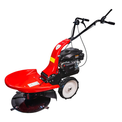 RAIDER Αυτοκινούμενος καταστροφέας βενζίνης 4hp RD-DM01 075017